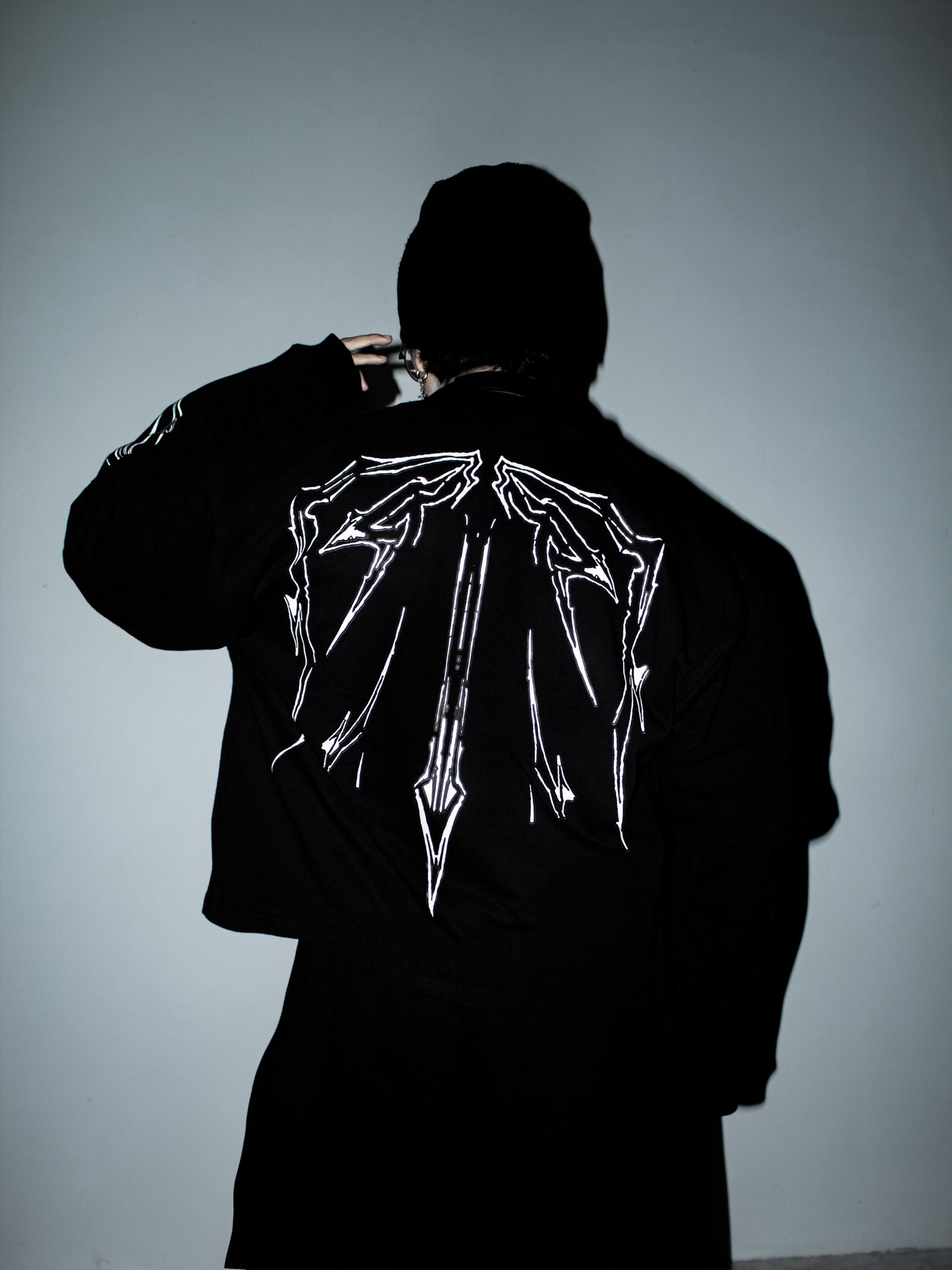 SHIRT MANGA LARGA  ARANEA